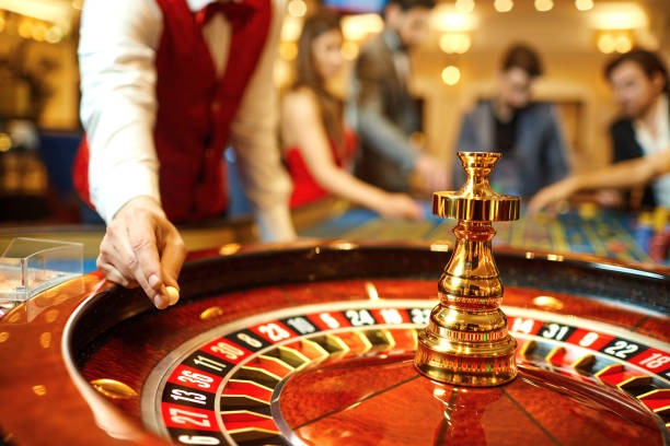 eurotogel member dashboard showing personal draw history and wins